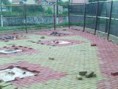 /album/academia-ao-ar-livre-barretos-/zgddhlo-jpg/